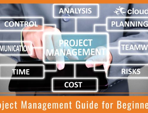 Project Management Guide for Beginners: Basics of Project Management