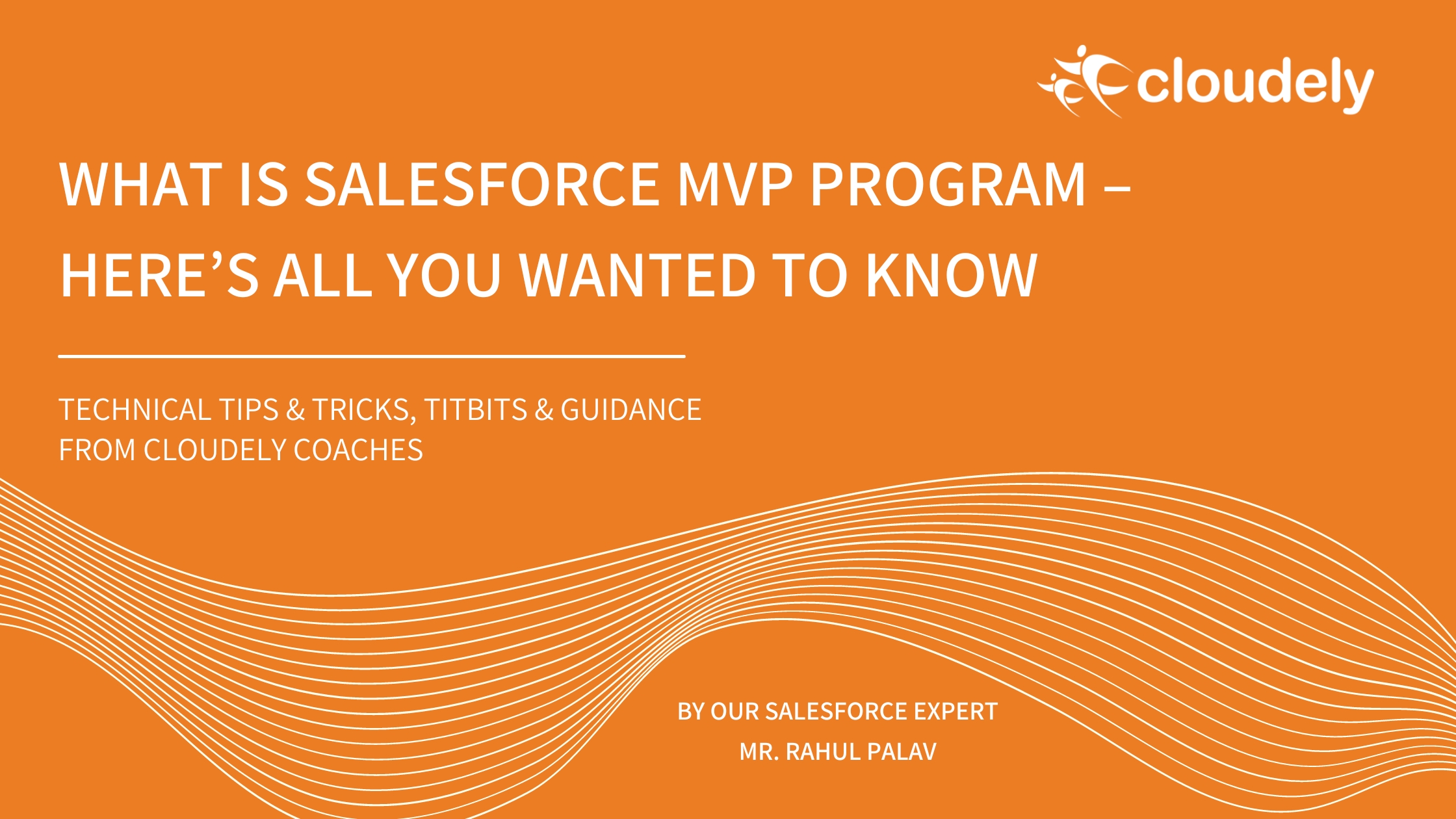 salesforce mvp