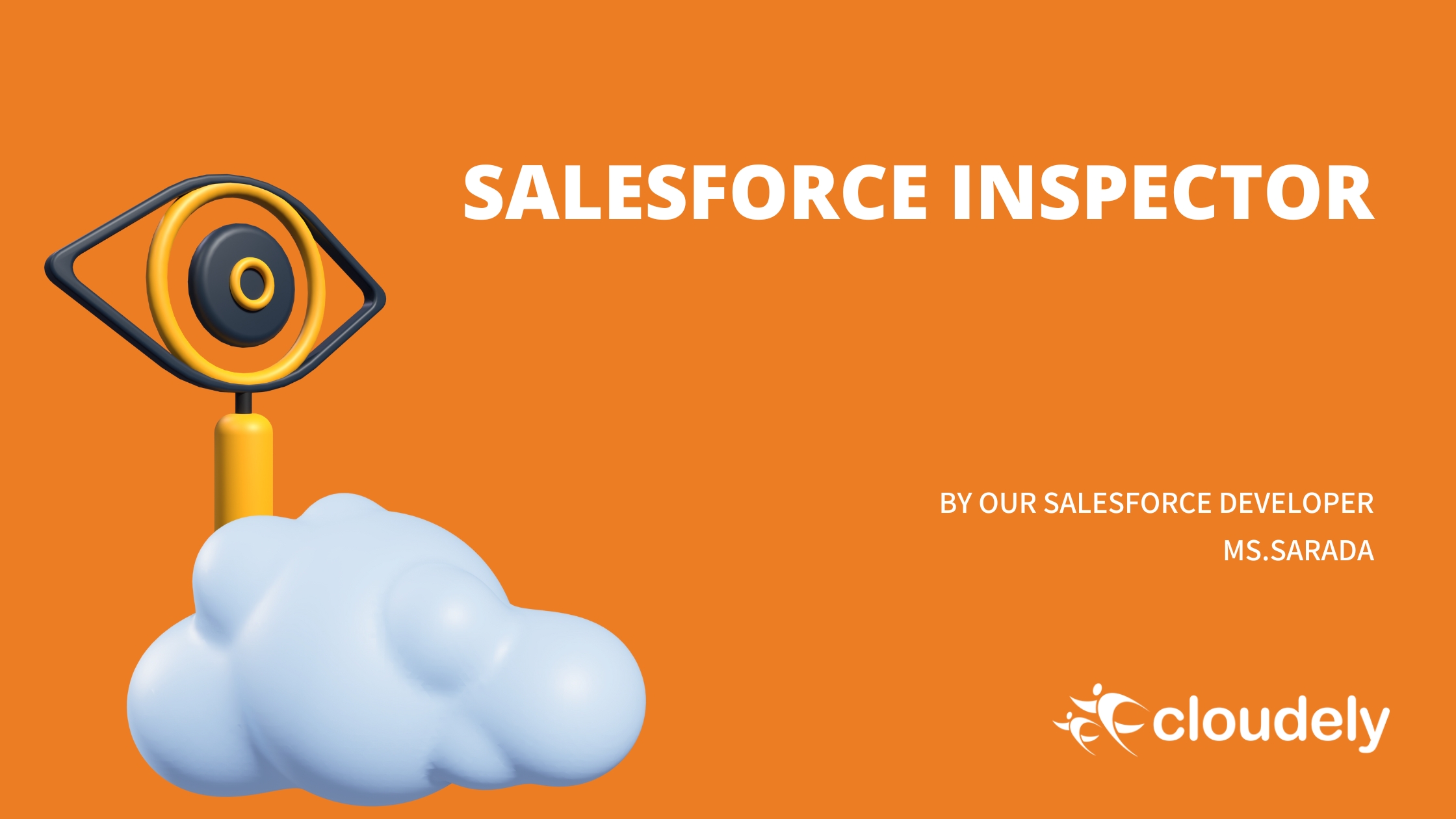 What Is a Salesforce Developer?