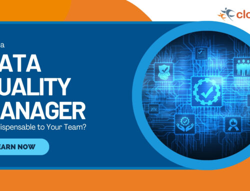 Why a Data Quality Manager is Indispensable to Your Team?