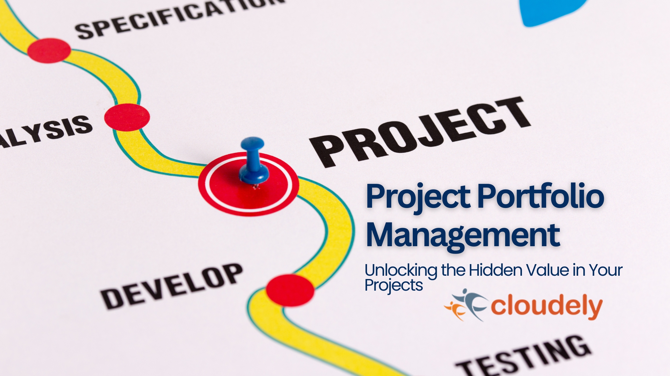 Project Portfolio Management